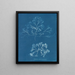 Chondrus membranifolius - Anna Atkins — framed artwork on a wall
