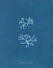Chondrus norvegicus - Anna Atkins — vista de la obra