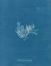 Chylocladia articulé - Anna Atkins — vista de la obra