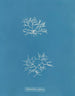 Chylocladia reflexa - Anna Atkins — vista de la obra