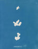 Adhérer au code - Anna Atkins — vista de la obra