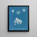 Conferva arcta the three upper specimens in juvenile state - Anna Atkins — framed artwork on a wall