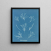 Coralline alargado - Anna Atkins — cuadro enmarcado en la pared