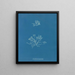 Escalas corallinas - Anna Atkins — cuadro enmarcado en la pared