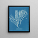Couverts multifida - Anna Atkins — cuadro enmarcado en la pared