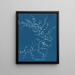 Cystoseira fibrosa - Anna Atkins — cuadro enmarcado en la pared