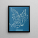Cystoseira granulata - Anna Atkins — cuadro enmarcado en la pared