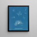 Delesseria hypoglossum en los frutos - Anna Atkins — cuadro enmarcado en la pared