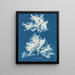 desnudo sinuoso - Anna Atkins — cuadro enmarcado en la pared