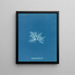 Delesseria sinuosa var. - Anna Atkins — cuadro enmarcado en la pared