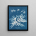 Dictyota dichotoma in its juvenile and fruiting state - Anna Atkins — framed artwork on a wall