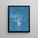 Dictyota dichotoma - Anna Atkins — framed artwork on a wall