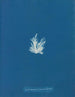 Ectocarpus fasciculatus - Anna Atkins — vista de la obra