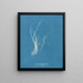 Enteromorpha compressa - Anna Atkins — cuadro enmarcado en la pared