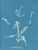 Enteromorpha ramulosa - Anna Atkins — artwork view