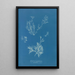 Reproduction of the painting Exilaria crystallinum parasitique - Anna Atkins