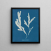 Lame de scie - Anna Atkins — cuadro enmarcado en la pared
