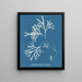 Fucus vesiculosus var. linéaire - Anna Atkins — cuadro enmarcado en la pared