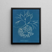 Furcellaria fastigiata - Anna Atkins — cuadro enmarcado en la pared
