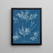 del escarcha en la nariz - Anna Atkins — cuadro enmarcado en la pared