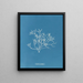 Gigartina pistillata - Anna Atkins | Painting — framed artwork on a wall