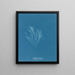 Griffithsia corallina - Anna Atkins | Cuadro — cuadro enmarcado en la pared