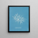 Griffithsia equisetifolia - Anna Atkins — cuadro enmarcado en la pared