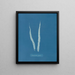 Fascia laminaire - Anna Atkins — cuadro enmarcado en la pared