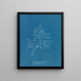 Laurencia pinnatifida en angusta - Anna Atkins — cuadro enmarcado en la pared