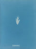 Lyngbya flacca - Anna Atkins — vista de la obra