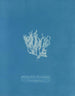 Reproducción del cuadro Nitophyllum laceratum - Anna Atkins