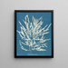 Odonthalie dentée - Anna Atkins — framed artwork on a wall