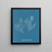 Polysiphonia atroscens - Anna Atkins — framed artwork on a wall