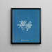 Polysiphonia cristata - Anna Atkins — cuadro enmarcado en la pared
