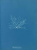 Polysiphonia fibrata - Anna Atkins — vista de la obra