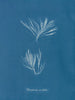 Polysiphonia urceolata - Anna Atkins — artwork view