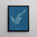 Sargassum bacciferum - Anna Atkins — cuadro enmarcado en la pared