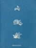 Schizonema comoides - Anna Atkins — vista de la obra
