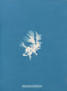 Schizonema parasiticum - Anna Atkins — vista de la obra