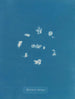 Sphacelaria radicans - Anna Atkins — artwork view