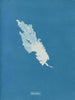 Ulva linza - Anna Atkins — vista de la obra