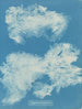 Dîmes de Zygnema - Anna Atkins — vista de la obra