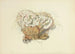 Ilustraciones de micología británica Pl10 - Anna Maria Hussey — vista de la obra