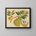 Álbum de acuarelas de frutas y flores asiáticas Pl20 - Anónimo — cuadro enmarcado en la pared