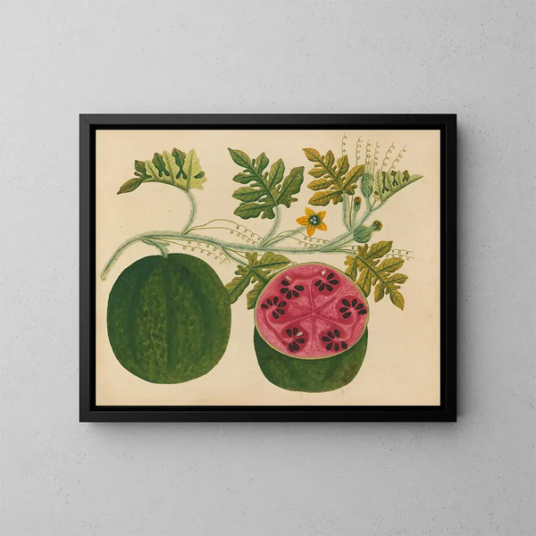 Álbum de acuarelas de frutas y flores asiáticas Pl29 - Anónimo — cuadro enmarcado en la pared