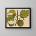 Álbum de acuarelas de frutas y flores asiáticas Pl30 - Anónimo — cuadro enmarcado en la pared