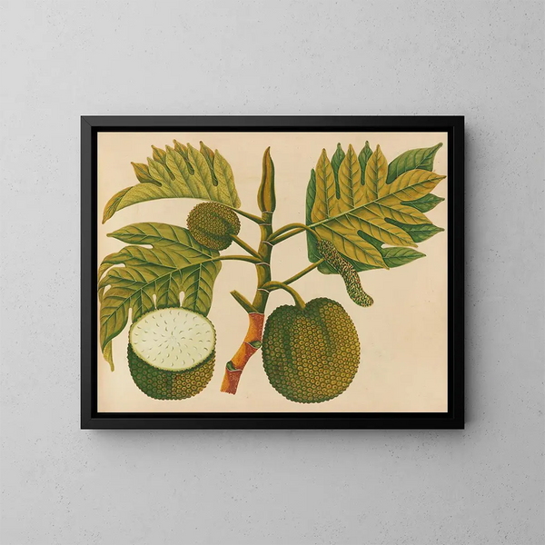 Álbum de acuarelas de frutas y flores asiáticas Pl30 - Anónimo — cuadro enmarcado en la pared