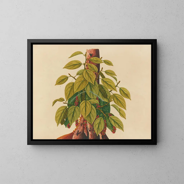 Álbum de acuarelas de frutas y flores asiáticas Pl34 - Anónimo — cuadro enmarcado en la pared