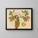 Álbum de acuarelas de frutas y flores asiáticas Pl38 - Anónimo — cuadro enmarcado en la pared