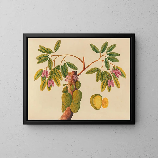 Álbum de acuarelas de frutas y flores asiáticas Pl38 - Anónimo — cuadro enmarcado en la pared